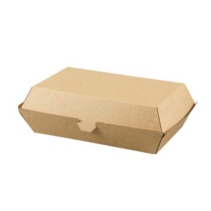 Family bioboard box (290×170 MM)