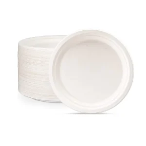 Round Plate 10 Inch