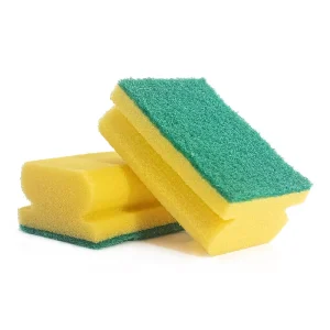 Sponges