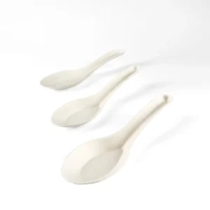Eko Chinese Spoon